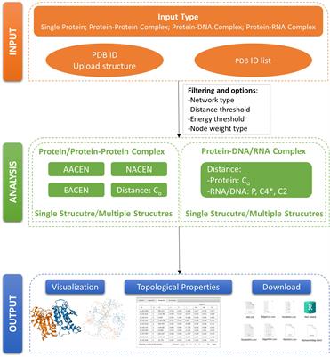 ANCA: A Web Server for Amino Acid Networks Construction and Analysis